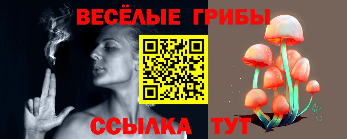 ТГК  Каннабис  Экстази  Мефедрон кристаллы  Вход с VPN  Саров  Гашиш  КОКАИН  ГАШ 